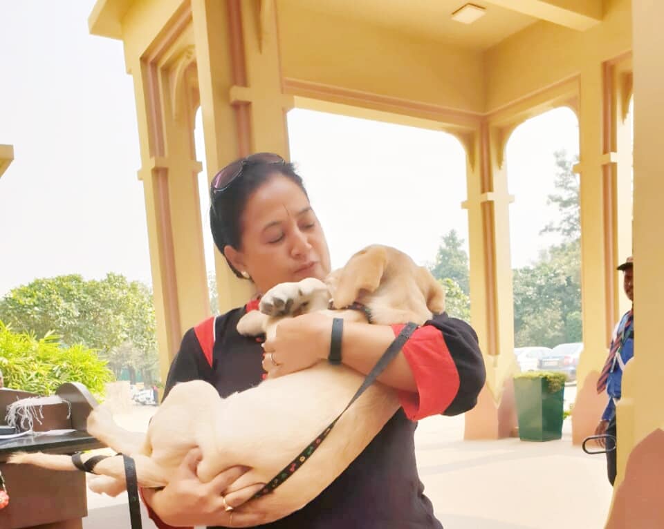 Rescuing a puppy